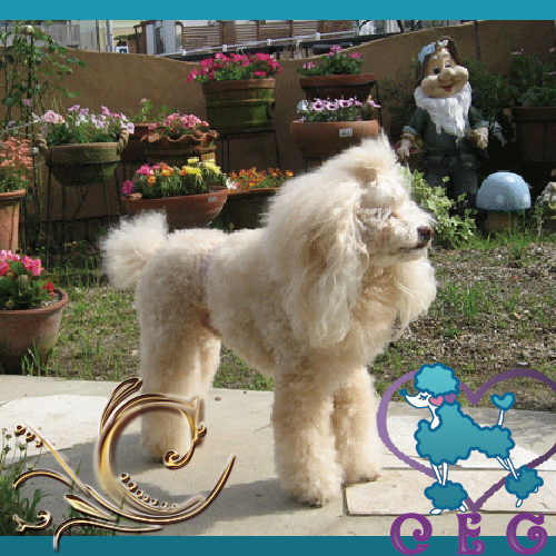 �`���b�L�[