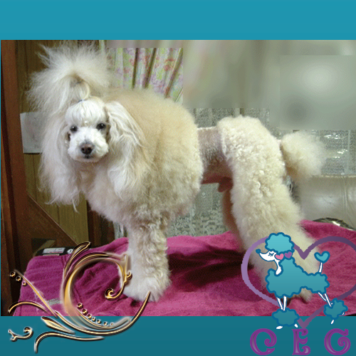 �`���b�L�[