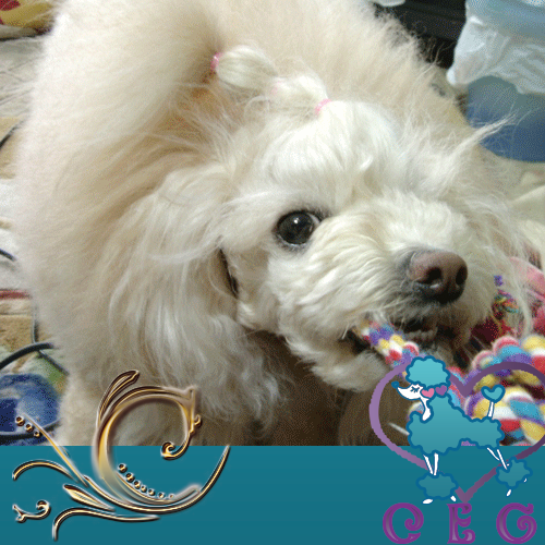 �`���b�L�[