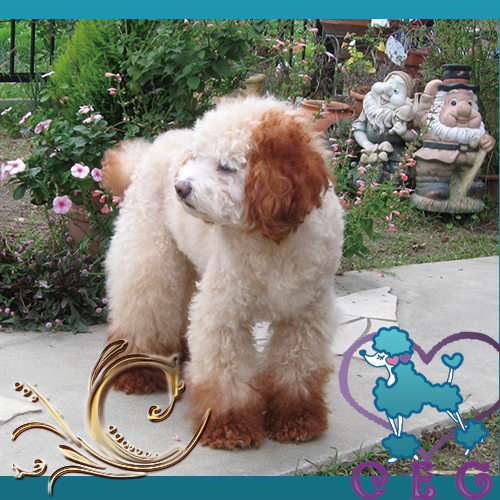 �`���b�L�[