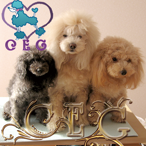 �`���b�L�[