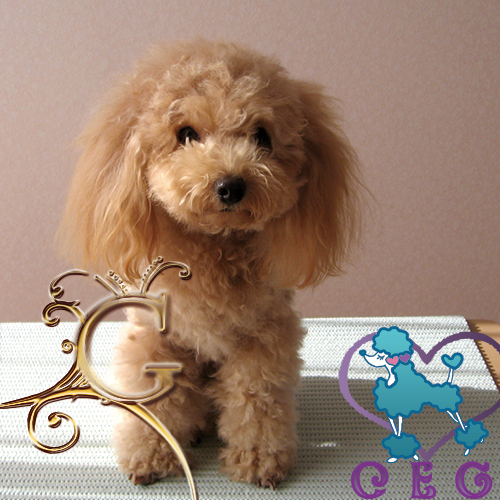 �`���b�L�[